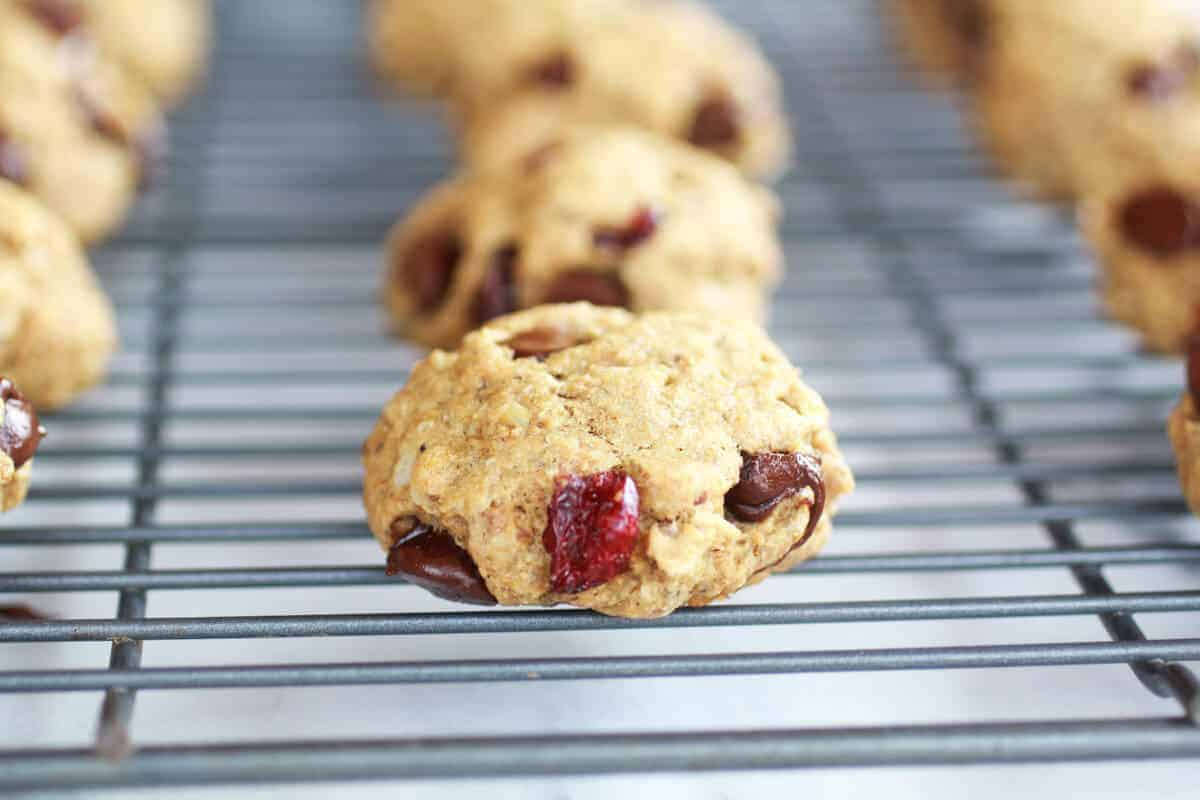 Super Healthy Breakfast (or anytime) Cookies-3