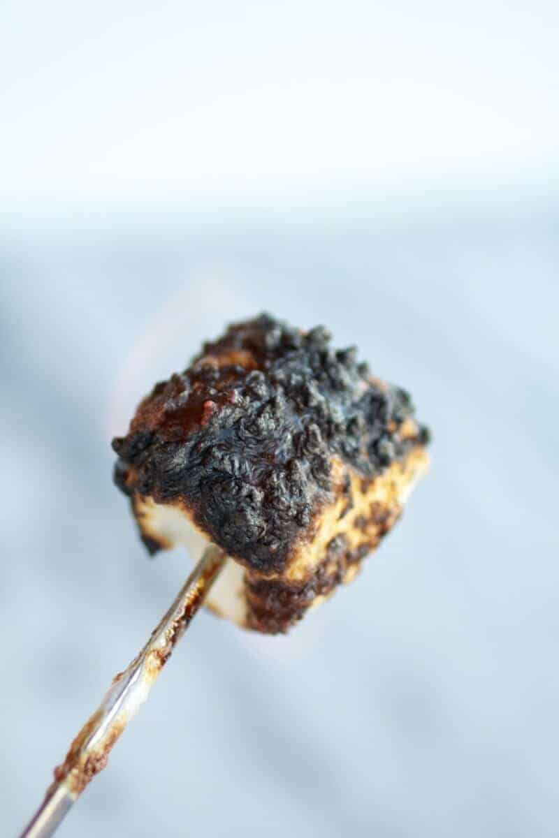 Toasted S'more Chocolate Fudge Ice Cream | https://fett-weg.today/