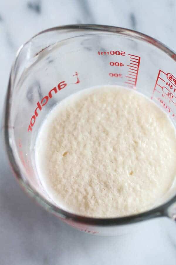 Homemade Naan (with step-by-step photos) | halfbakedharvest.com