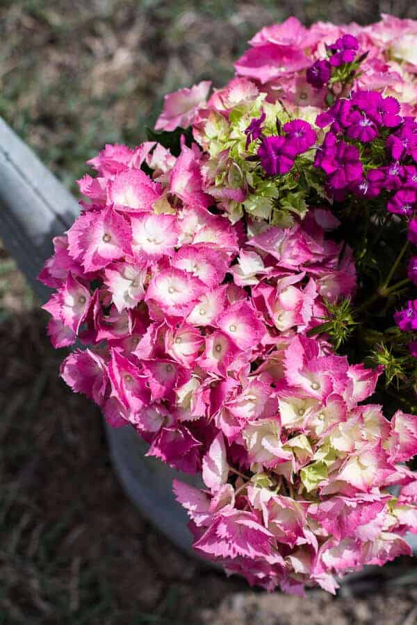 Lemon Ricotta Cheese Stuffed French Toast Crepes with Vanilla Stewed Strawberries | halfbakedharvest.com