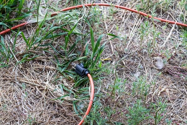 Let's Go on Mid Summer Hike Together | halfbakedharvest.com