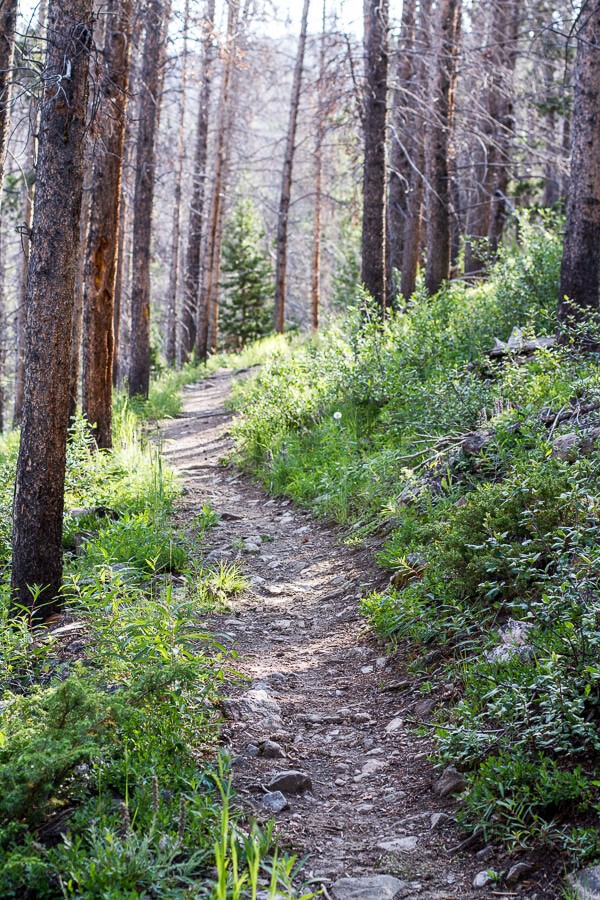 Let's Go on Mid Summer Hike Together | halfbakedharvest.com