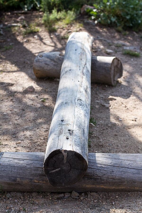 Let's Go on Mid Summer Hike Together | halfbakedharvest.com