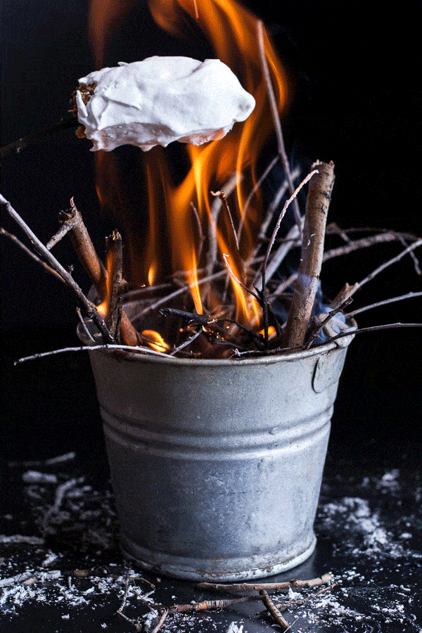 Inside Out Peanut Butter and Nutella Banana S'mores | halfbakedharvest.com