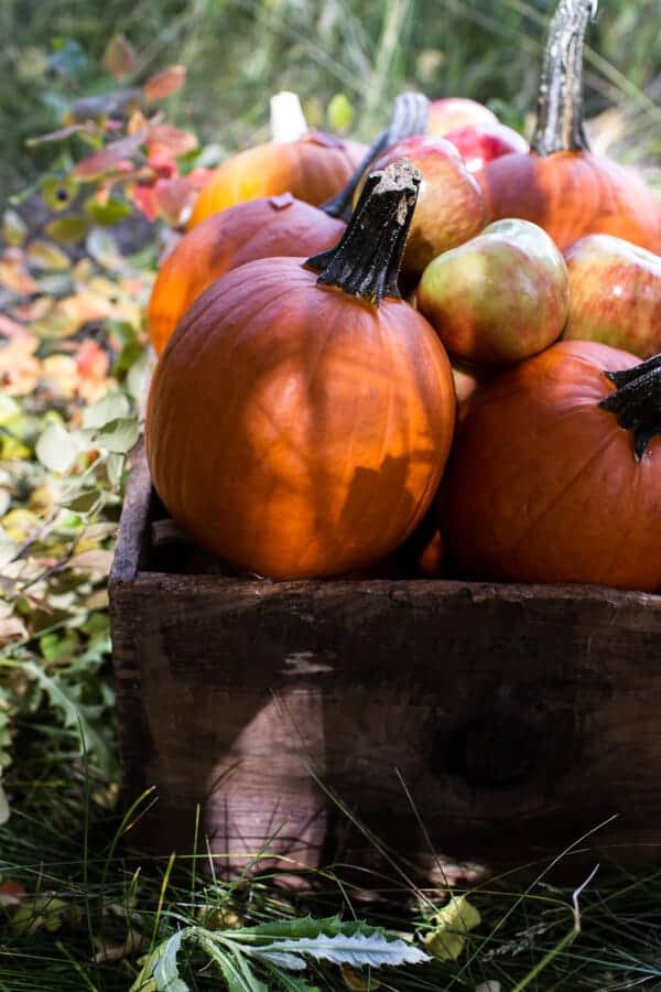Brown Butter Pecan + Maple Quinoa Autumn Harvest Granola | halfbakedharvest.com @hbharvest