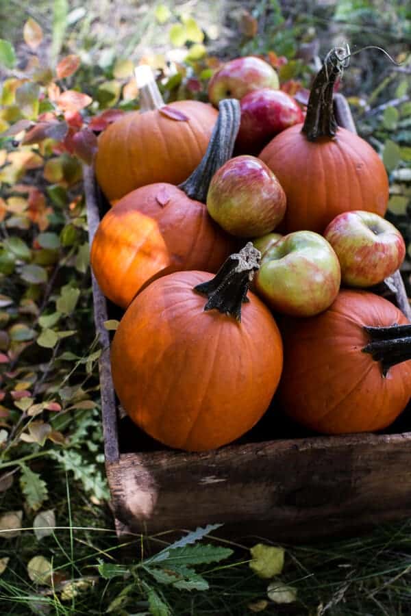 Brown Butter Pecan + Maple Quinoa Autumn Harvest Granola | halfbakedharvest.com @hbharvest