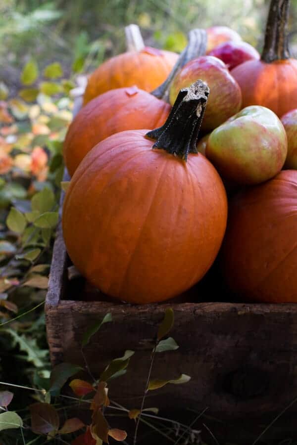 Brown Butter Pecan + Maple Quinoa Autumn Harvest Granola | halfbakedharvest.com @hbharvest