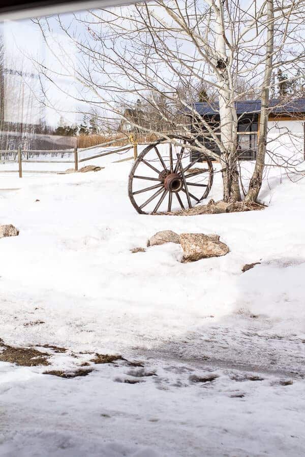 The BarnโฆProgress Photos-1