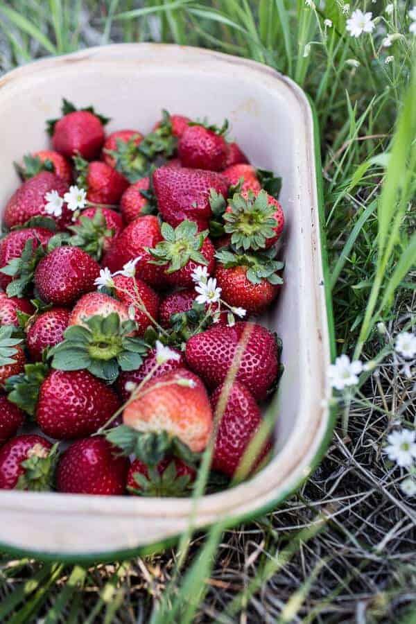 How to make a Killer Summer Cheeseboard (with Pickled Strawberries + Herb Roasted Cherry Tomatoes!) | halfbakedharvest.com @hbharvest