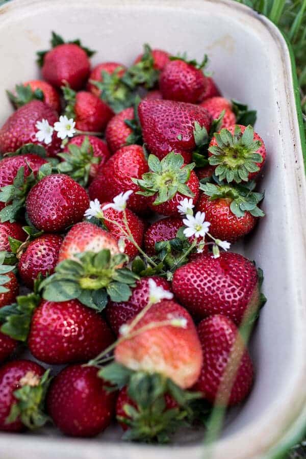 How to make a Killer Summer Cheeseboard (with Pickled Strawberries + Herb Roasted Cherry Tomatoes!) | halfbakedharvest.com @hbharvest