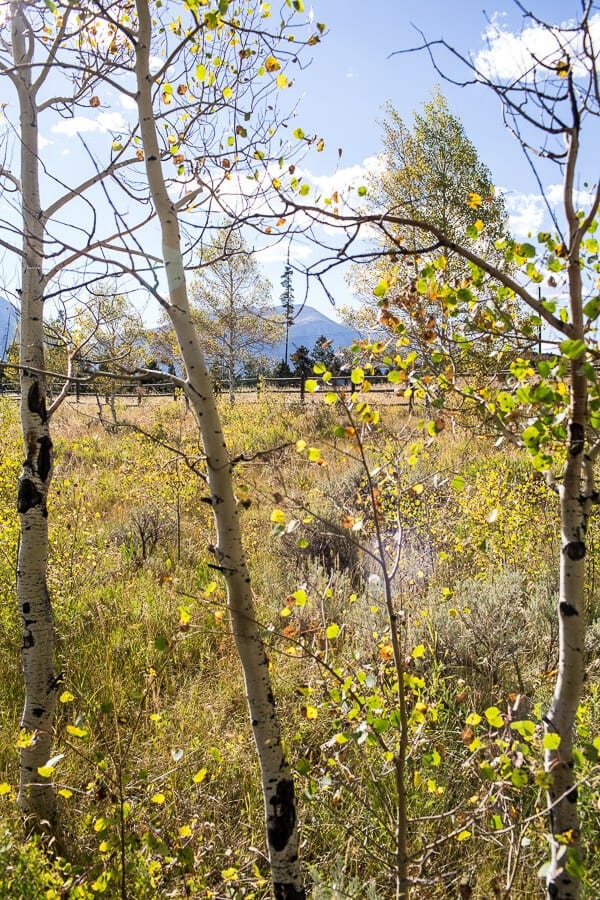 Fall Harvest Peanut Picnic + a Family Hike! | halfbakedharvest.com @hbharvest