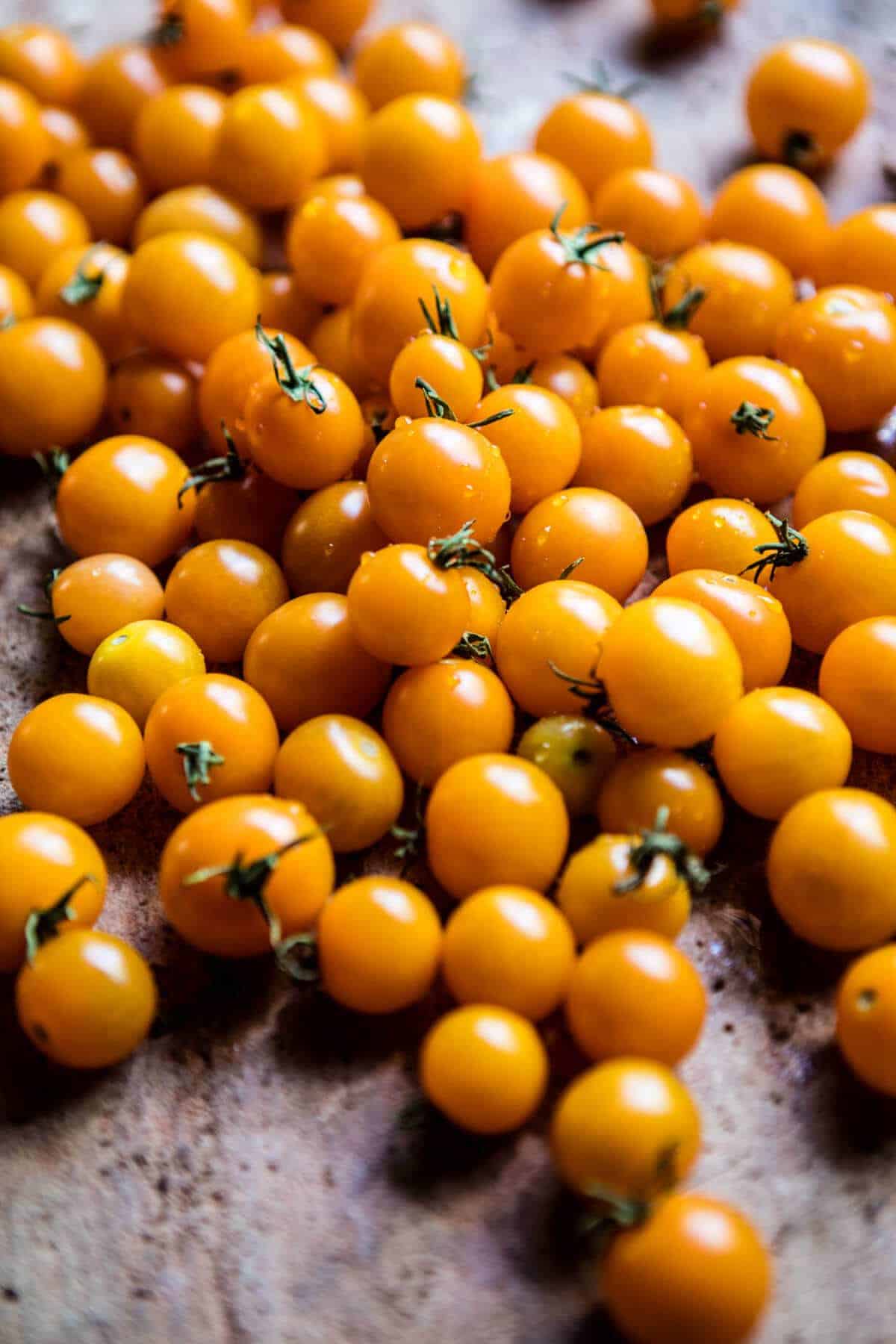 Salmon Souvlaki Bowls | halfbakedharvest.com @hbharvest