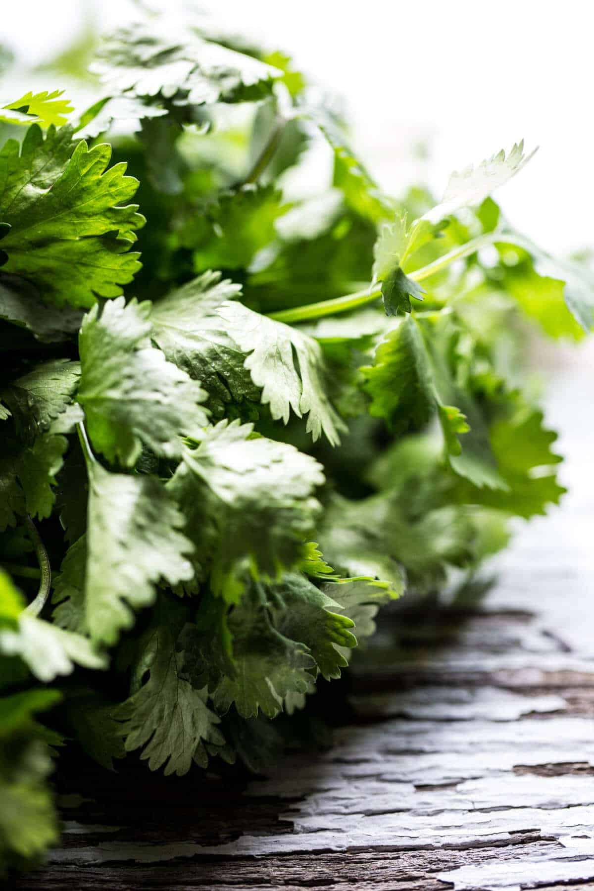 Hoisin Salmon with Zucchini Slaw | halfbakedharvest.com @hbharvest