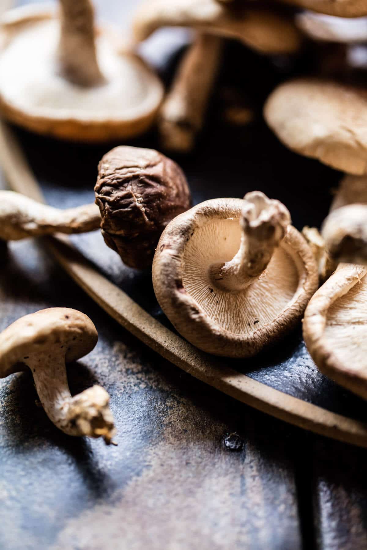 Balsamic Mushroom and Goat Cheese Pizza | halfbakedharvest.com @hbharvest
