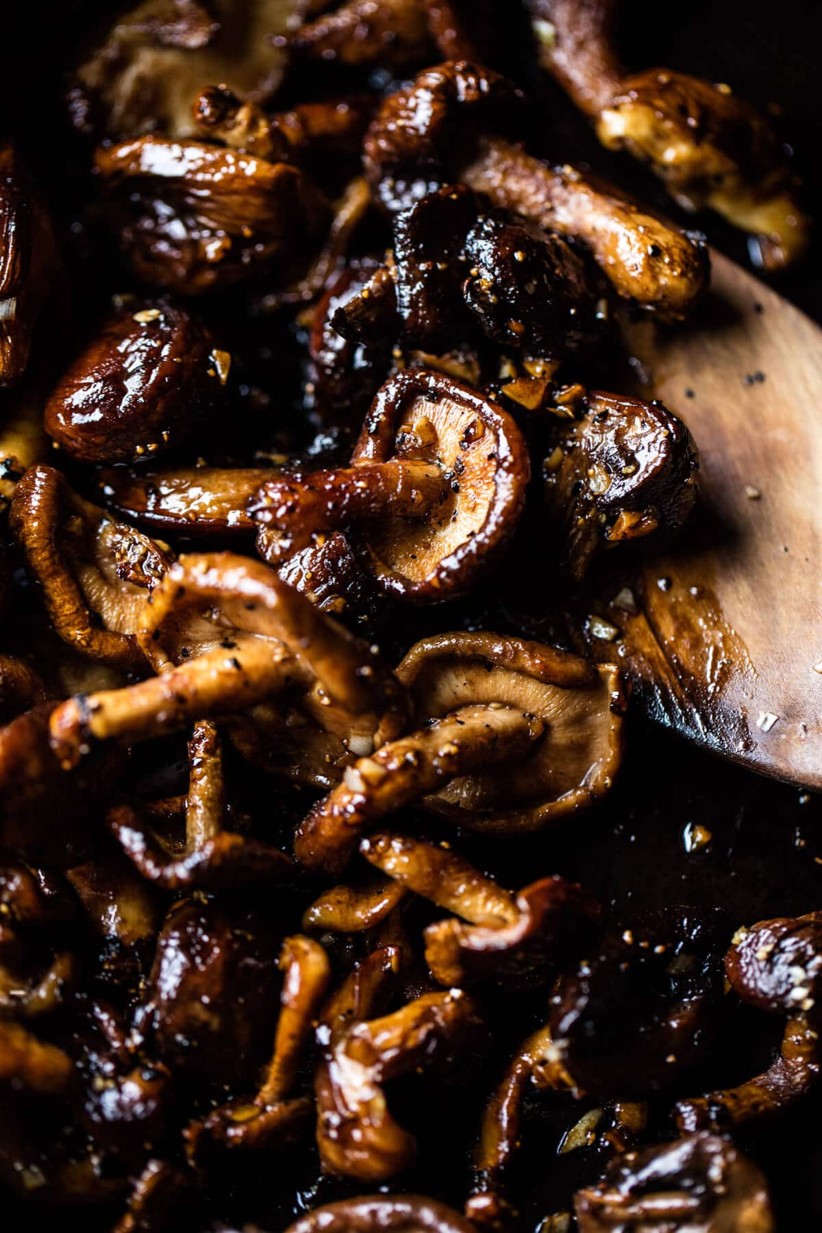 Balsamic Mushroom and Goat Cheese Pizza | halfbakedharvest.com @hbharvest