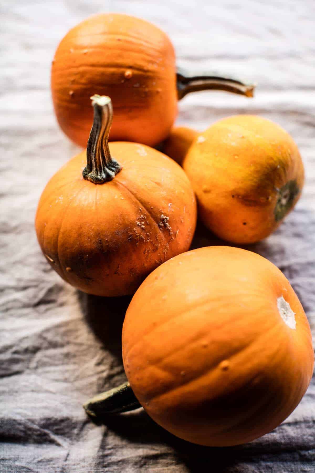 Brown Butter Pumpkin Fettuccine Alfredo with Fried Cheese | halfbakedharvest.com @hbharvest