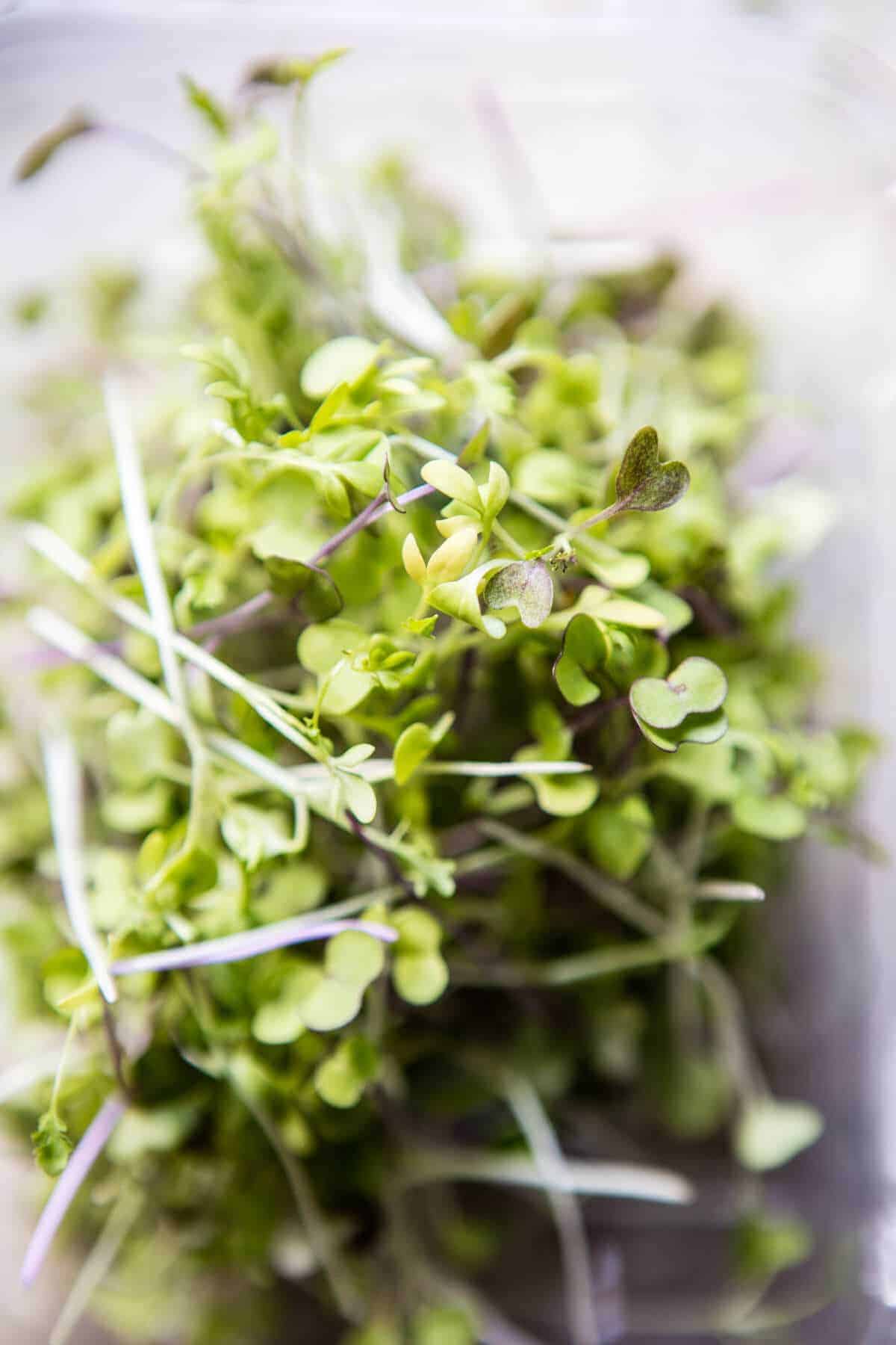 Greek Goddess Chicken Lettuce Wraps | halfbakedharvest.com @hbharvest