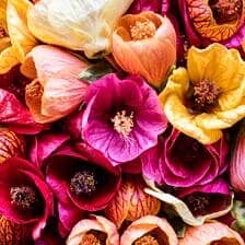 Nine Favorite Things | halfbakedharvest.com @hbharvest