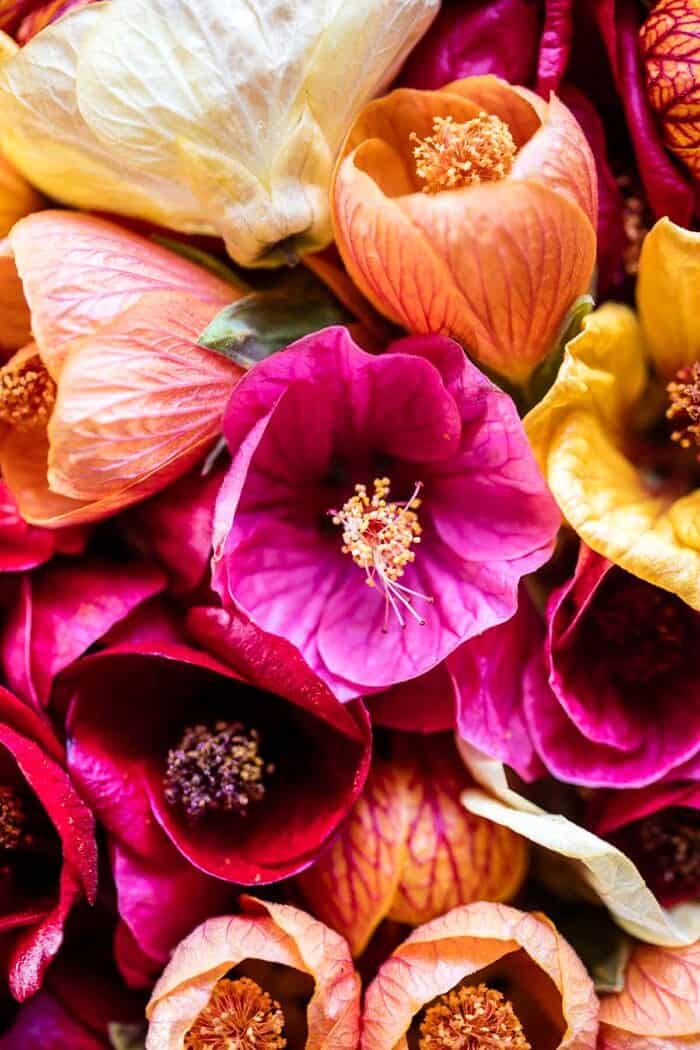 Tropical Strawberry Hibiscus Rum Smash | halfbakedharvest.com @hbharvest