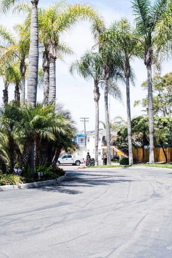 Family Trip To San Diego | halfbakedharvest.com @hbharvest