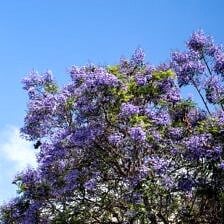 Family Trip To San Diego | halfbakedharvest.com @hbharvest