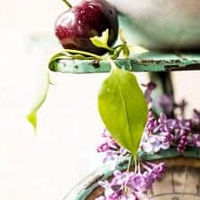 Mulled Cherry Bomb Pie | halfbakedharvest.com @hbharvest