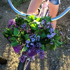 Nine Favorite Things | halfbakedharvest.com