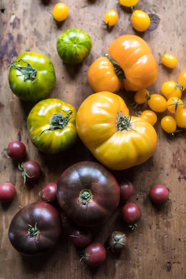 Summer Tomato and Zucchini Halloumi Bake | halfbakedharvest.com @hbharvest