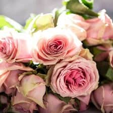 Nine Favorite Things | halfbakedharvest.com @hbharvest