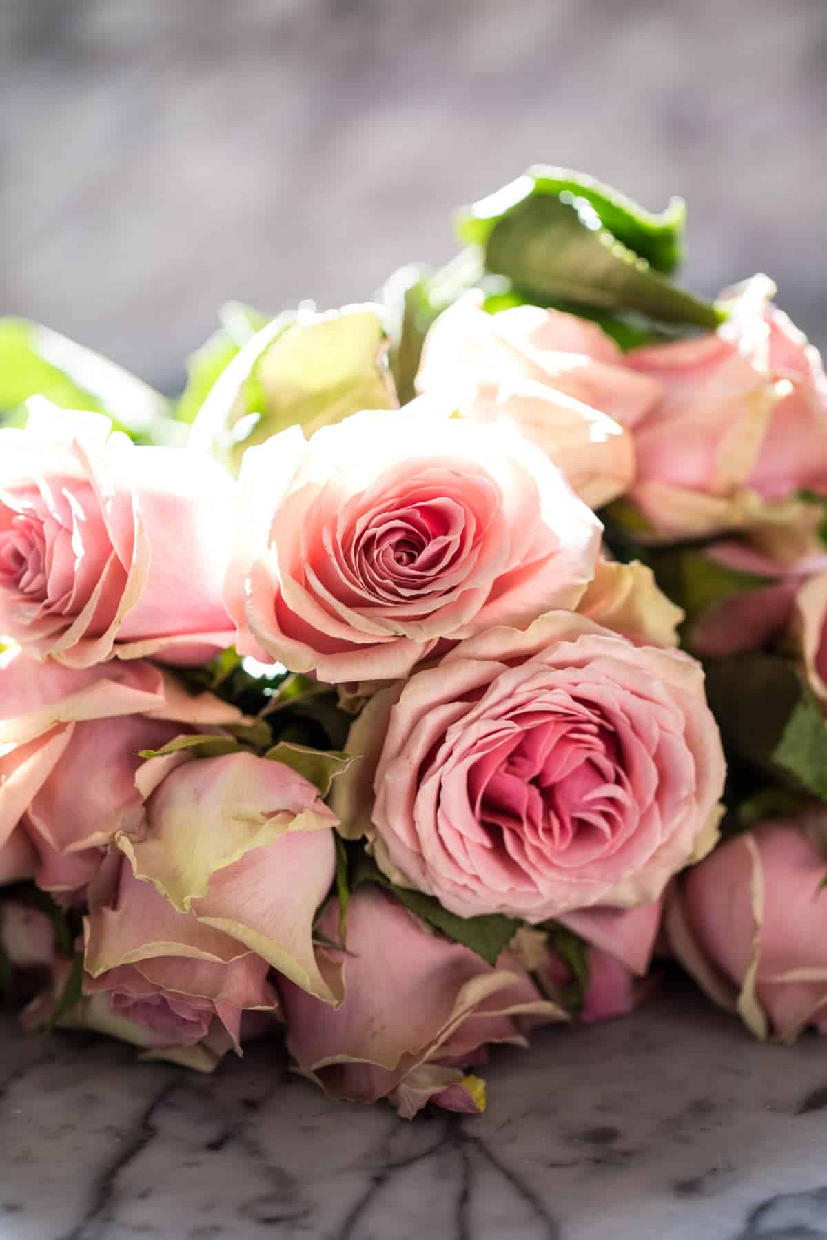 Nine Favorite Things | halfbakedharvest.com @hbharvest