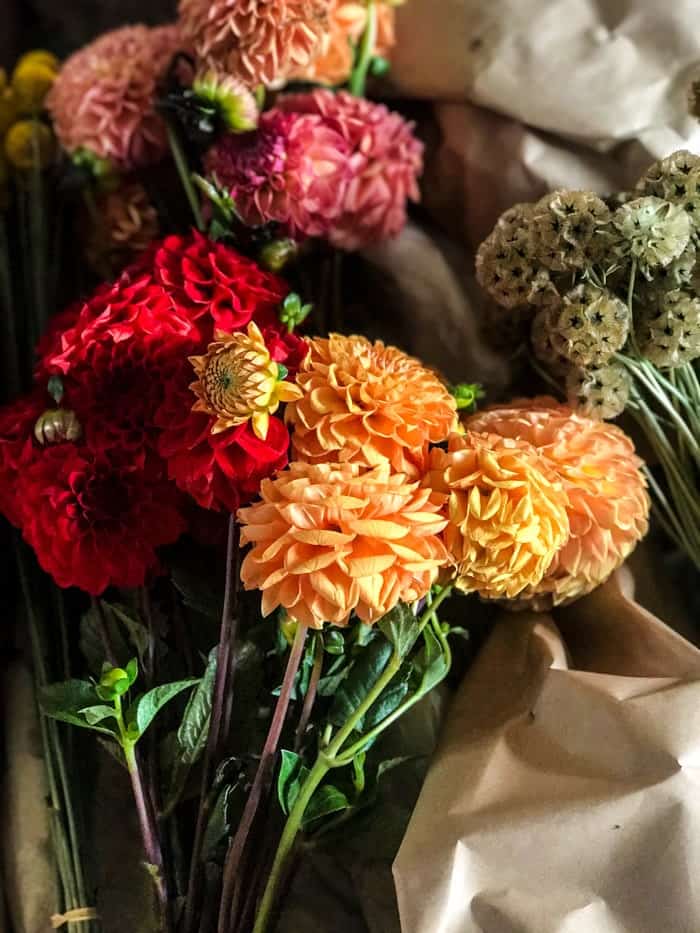 Nine Favorite Things | halfbakedharvest.com @hbharvest