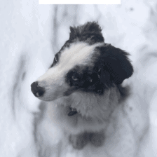 Nine Favorite Things | halfbakedharvest.com @hbharvest