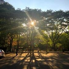 Nine Favorite Things | halfbakedharvest.com