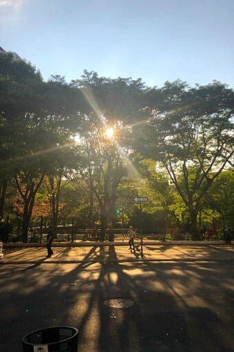 Nine Favorite Things | halfbakedharvest.com