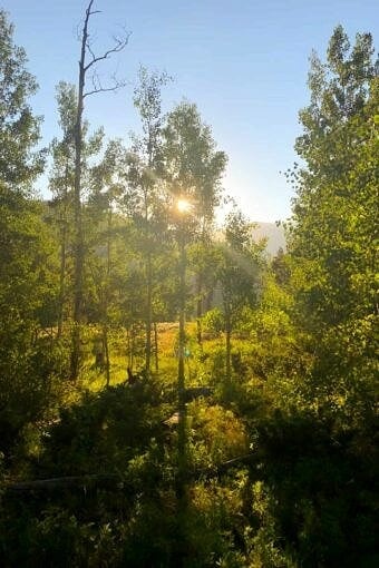 Nine Favorite Things | halfbakedharvest.com