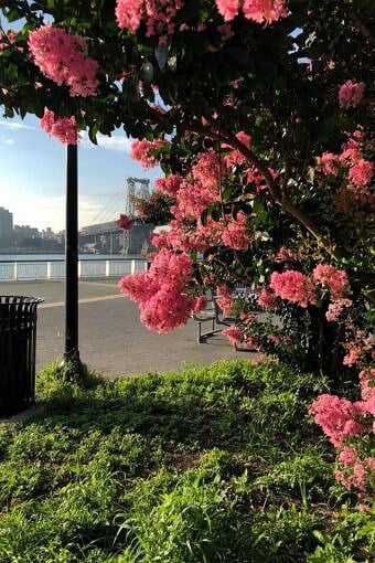 Nine Favorite Things | halfbakedharvest.com