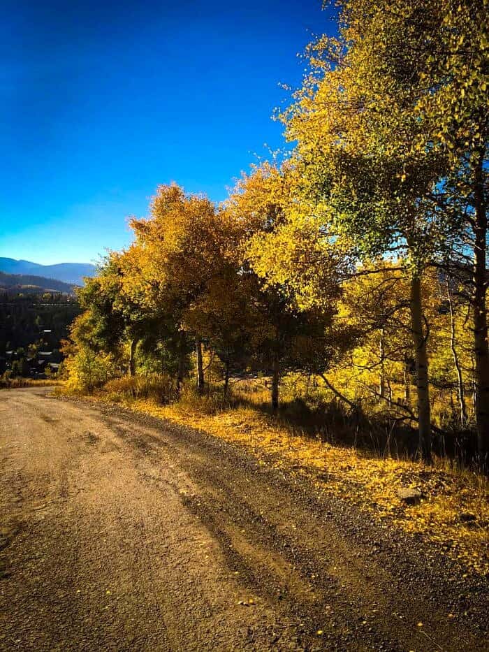 Nine Favorite Things | halfbakedharvest.com