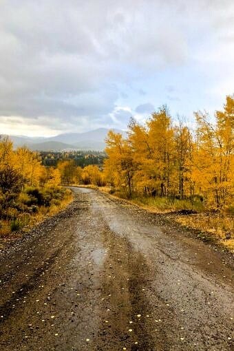 Nine Favorite Things | halfbakedharvest.com