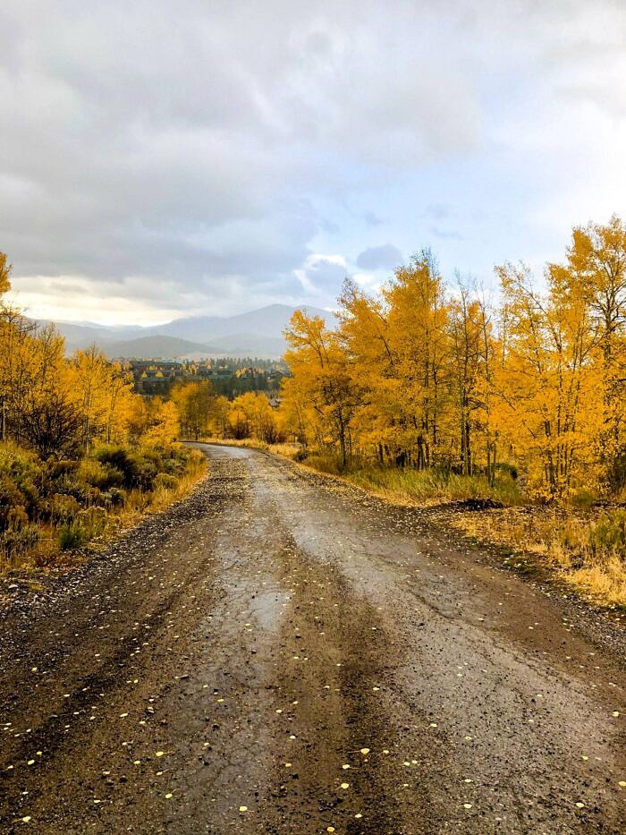 Nine Favorite Things | halfbakedharvest.com Nine Favorite Things | halfbakedharvest.com