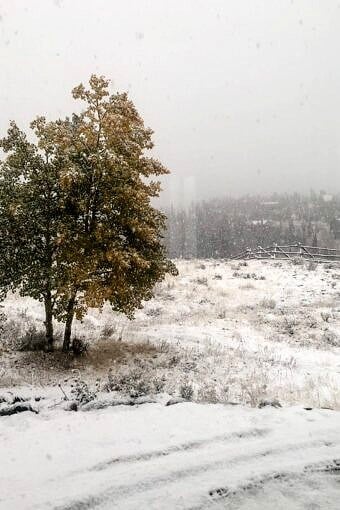 Nine Favorite Things | halfbakedharvest.com