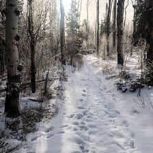 Nine Favorite Things | halfbakedharvest.com