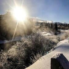 Nine Favorite Things | halfbakedharvest.com