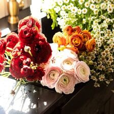 Nine Favorite Things | halfbakedharvest.com