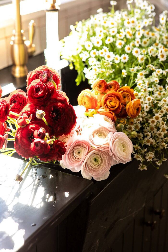 Nine Favorite Things | halfbakedharvest.com ranunculus in sink