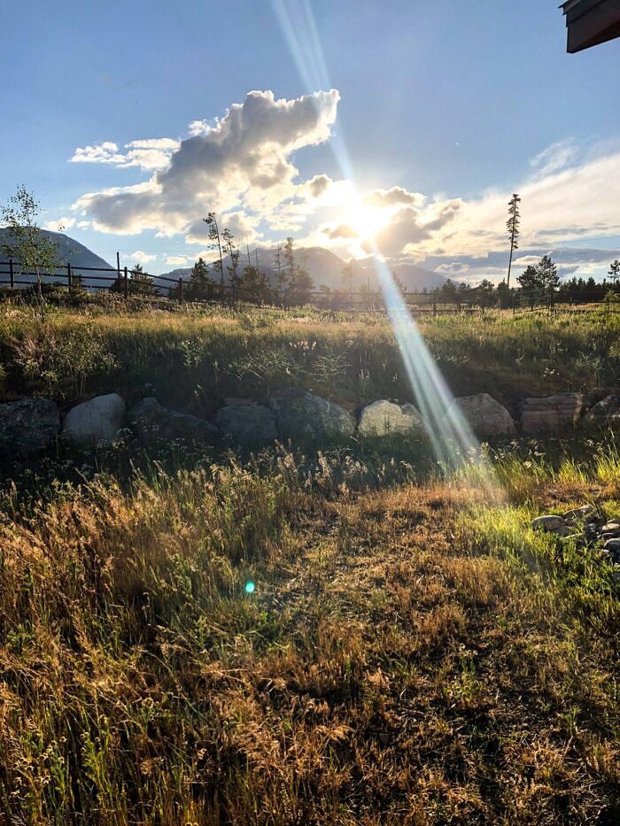 Nine Favorite Things | halfbakedharvest.com Nine Favorite Things | halfbakedharvest.com