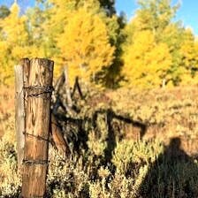 Nine Favorite Things | halfbakedharvest.com