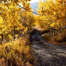 Nine Favorite Things | halfbakedharvest.com