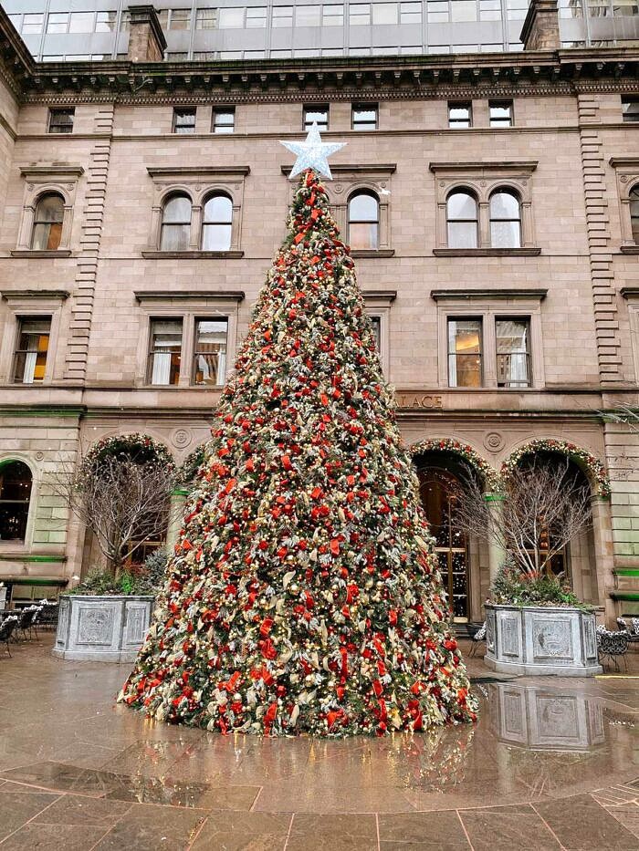 Nine Favorite Things | halfbakedharvest.com Nine Favorite Things | halfbakedharvest.com