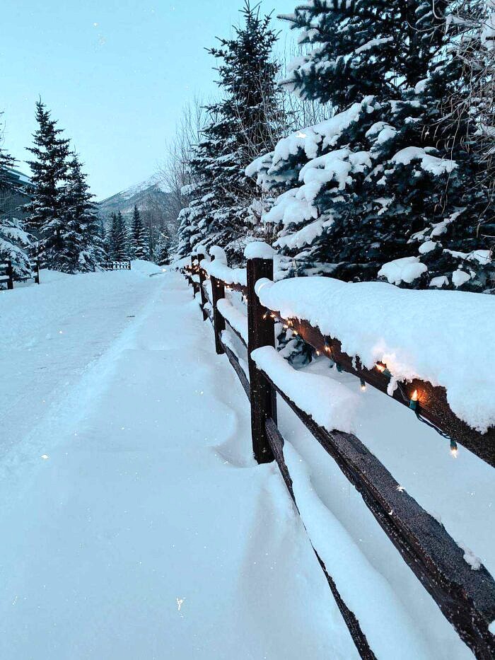 Nine Favorite Things | halfbakedharvest.com