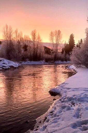 Nine Favorite Things | halfbakedharvest.com